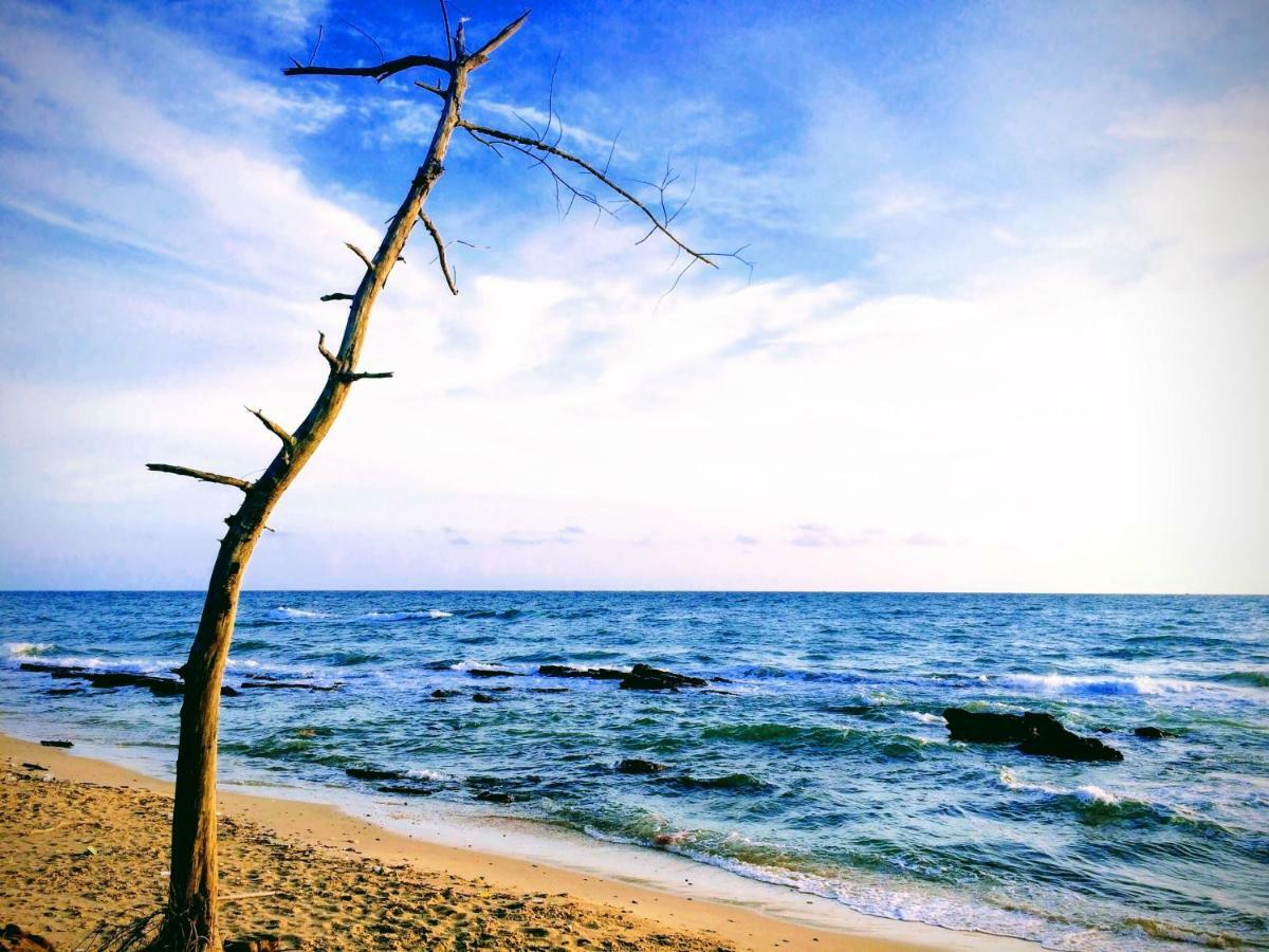 Roise Paradise Phu Quoc Exteriör bild